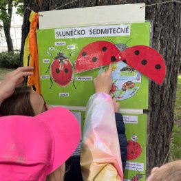 Hmyzí edukační stezka - procházka I.L a I.V
