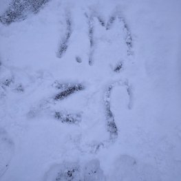 I.M na sněhu :-)